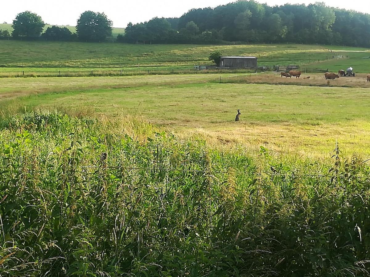 Ferienwohnung Seeglueck Bostalsee Nohfelden Zewnętrze zdjęcie